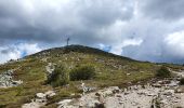 Tocht Stappen Borée - Le Mont Mezenc - Photo 4