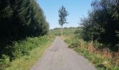 Tour Wandern Bouillon - Belle rando très sportive au départ de Rochehaut  - Photo 3