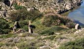 Excursión Senderismo Gruissan - 20210512 île saint-Martin- Gruissan - Photo 6