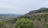 Tocht Stappen Le Muy - Le rocher de roquebrune  - Photo 9