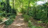 Trail Walking Rixensart - Bourgeois - Ohain - Lasne - Photo 6