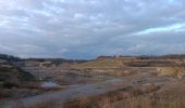 Trail Walking Riemst - montagne St-Pierre / St Pietersberg - Photo 19