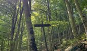 Randonnée Marche Montefortino - Gole dell’ infernaccio - Photo 2