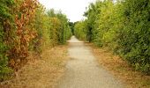 Randonnée Marche Brie-Comte-Robert - Chemin des Roses - Brie-Comte-Robert / Yébles - Photo 1