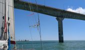 Excursión Velero Les Sables-d'Olonne - Descente vers le sud 4eme étapes les Sables d'Olonne la Rochelle - Photo 2