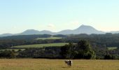 Trail Walking Cisternes-la-Forêt - Lavergne_Puy_Faux - Photo 1