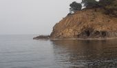 Tour Wandern Cerbère - les aloès. cerbère . coll dells belitres (espagne) . cap cerbère . cerbère. les aloès   - Photo 1