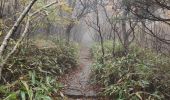 Trail Walking Unknown - Seseok Shelter Jirisan  - Photo 3