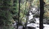 Trail Walking Jalhay - Vallée de la Hoëgne  - Photo 10