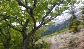 Tour Wandern Le Glaizil - 20190528_Chapeau de l'évêque via Le Glaizil - Photo 5