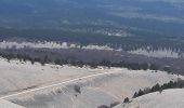 Trail Bicycle tourism Sault - Mont Ventoux - Photo 3