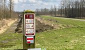 Trail Walking Dendermonde - Dendermonde Moerzeke 19,5 km - Photo 13