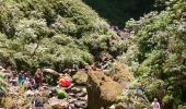 Trail Walking Santana - PR9 Levada do caldeirao verde - Photo 1