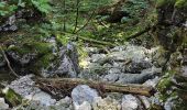 Trail On foot Gemeinde Mitterbach am Erlaufsee - Erlaufsee - Brunnsteinalm - Photo 4