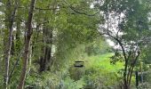 Tour Zu Fuß Krausnick-Groß Wasserburg - Wanderweg Krausnik-Groß Wasserburg-Köthen (grüner Balken) - Photo 5