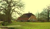 Tocht Te voet Hof van Twente - Wandelnetwerk Twente - gele route - Photo 3
