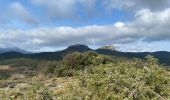 Excursión Senderismo Conqueyrac - Les jumelles de Monoblet  - Photo 11