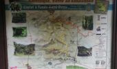 Tocht Trail Le Morne-Vert - caplet - Photo 2