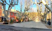Tour Wandern Villecroze - Autour de Villecroze - Chapelles, Parcs et jardins - Photo 9