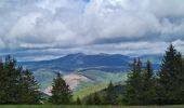 Tour Wandern Grendelbruch - Tour du petit Rosskopf & piton du Falkenstein - Photo 4