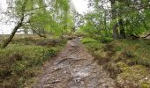 Trail On foot Neu Wulmstorf - Wander-Tour Wulmstorfer Heide - Photo 10