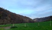 Tour Wandern Comblain-au-Pont - comblain-au-pont, pont de sçay . oneux .  sur lawé  . retour le long de l ourthe  - Photo 9