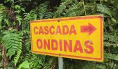 Tour Wandern Mindo - Cascadas de Tarabita - Photo 8