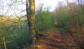 Excursión Senderismo Vieux-Moulin - en forêt de Compiègne_26_la Grotte des Ramoneurs_Tournantes de la Queue de Saint-Etienne et sur la Côte de Roilaye - Photo 12