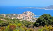 Tour Wandern Calvi - Boucle Croix des Balkans - Phare de Revellata - Notre dame de la Sierra - Photo 8