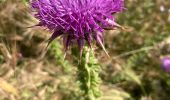 Trail Walking Otranto - Otranto  - Photo 13
