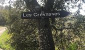 Trail Walking Chantemerle-lès-Grignan - Les Crevasses de Chantemerle lés Grignan Grignan - Photo 1
