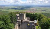 Tour Wandern Dambach - Dambach-la-Ville : Circuit des trois châteaux - Photo 5