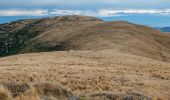 Trail On foot Banks Peninsula Community - Te Ara Pātaka - Photo 2