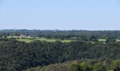 Tour Wandern Limburg - Limbourg BIO 7,5 km le 29-07-2024 - Photo 13