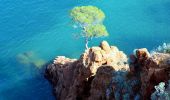 Trail Walking Saint-Raphaël - SityTrail - Pic de Cap Roux et la Grotte de Saint Baume - Photo 5