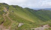 Tocht Stappen Albepierre-Bredons - Le Plomb du Cantal - Photo 20