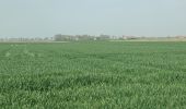 Tour Wandern Veurne - van Veurne naar Beauvoorde.  - Photo 3
