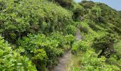 Trail Walking Flamengos - FAI GR01 : De volcan en volcan, Faial, Azores - Photo 7