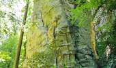 Randonnée Marche Consdorf - Consdorf - Mullerthal - Photo 13