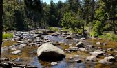 Excursión Senderismo Bolquère -  Bolquère .Petit Canada Pla de Barrès - Photo 1