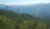 Trail Walking Rimon-et-Savel - Rimon-et-Savel CKCC - Photo 1