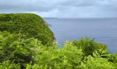 Percorso Marcia Anse-Bertrand - Guadeloupe - Pointe de la Petite Vigie à Pointe de la Grande Vigie - Photo 7