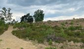 Excursión Senderismo Maaseik - Gruitroderbos -  dunes - Photo 11