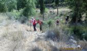 Percorso A piedi מועצה אזורית מטה יהודה - דרך נוף דרומית - Photo 1