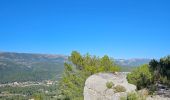 Randonnée Marche Le Castellet - Les Barres du plan de Castellet - Photo 13