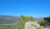 Tocht Stappen Le Castellet - Les Barres du plan de Castellet - Photo 13