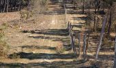 Trail Walking Le Porge - Zot/fifi - Photo 13