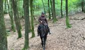 Trail Horseback riding Bastogne - Livarchamps - Surre (LU) 29 août 2021 - Photo 1