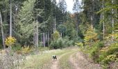 Trail Walking Habay - Le grand ruisseau  - Photo 5