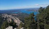 Trail Walking La Palud-sur-Verdon - col plein voir - Photo 12